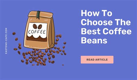 Brewing Methods: How to Extract the Best Flavors from Maguc Bean Coffee